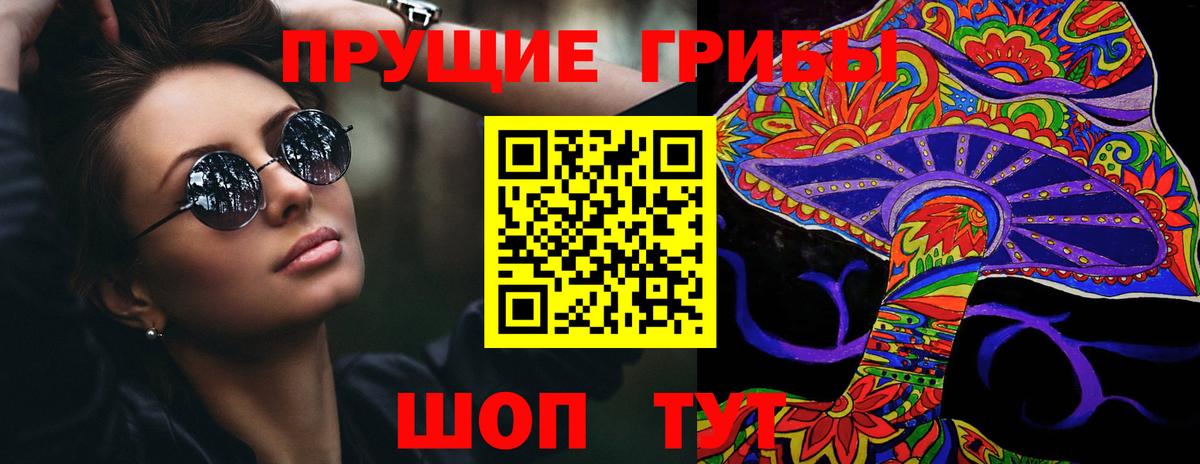 Галлюциногенные грибы Psilocybine cubensis Белгород