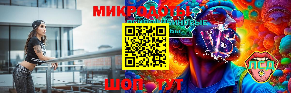 Псилоцибиновые грибы Psilocybe  Вход с VPN  Псилоцибиновые грибы Cubensis  Белгород 